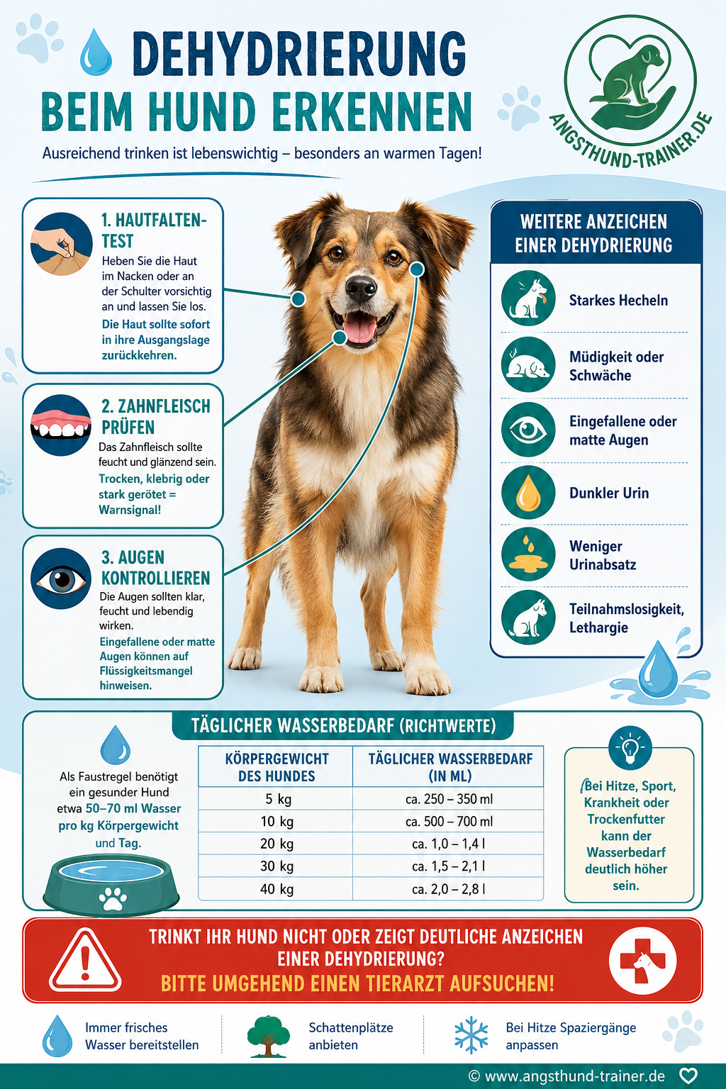 💧 Hat mein Hund genug getrunken?